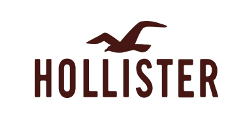 Hollister incorporated